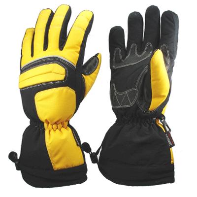  	 Ski Gloves